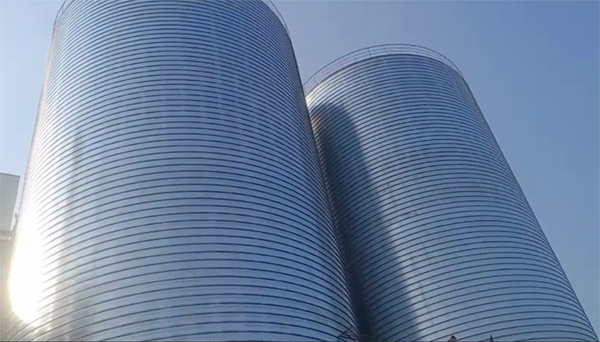 宁阳2座混凝土高架卷板仓